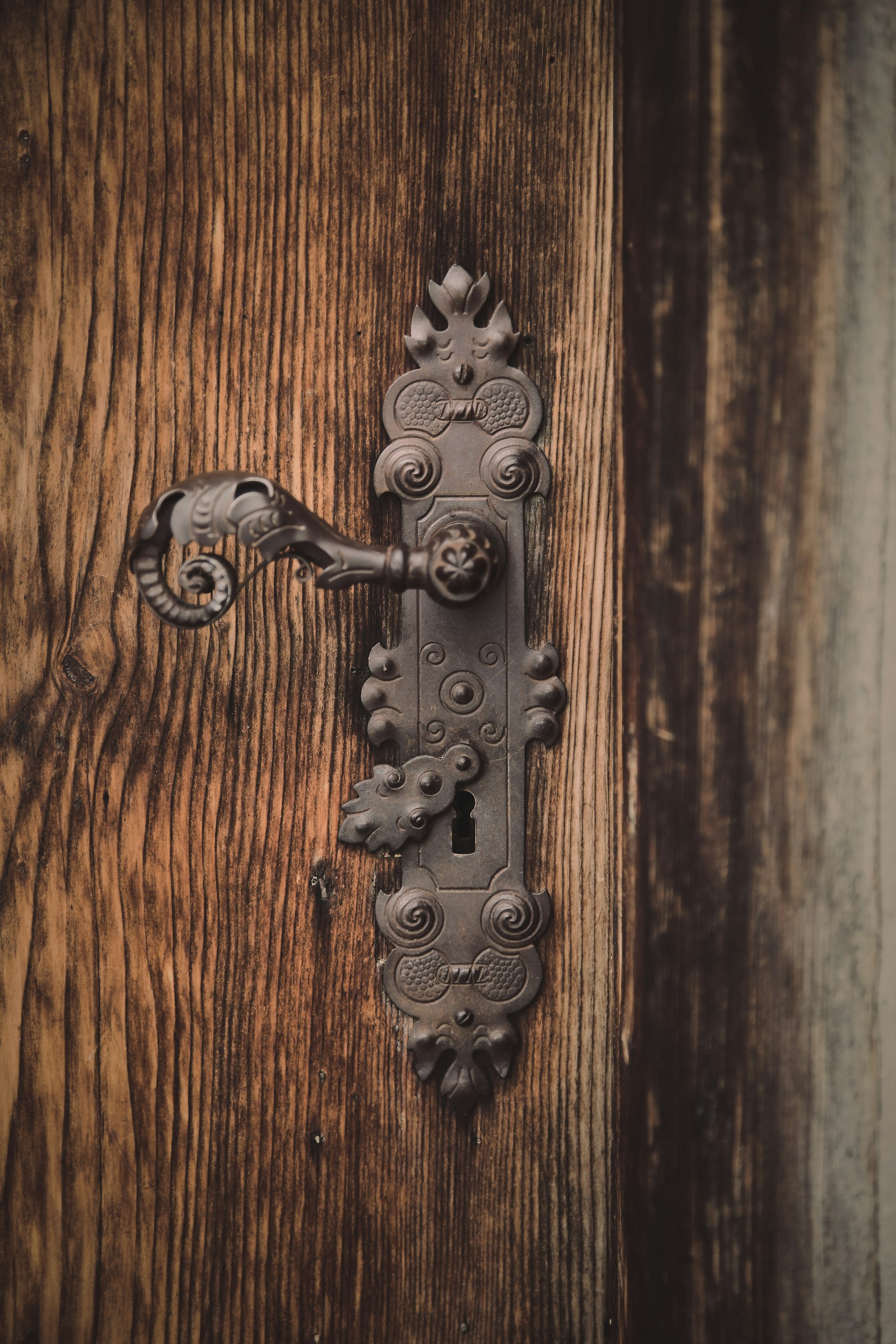 A black metal door handle on a wooden door